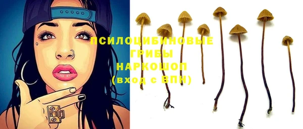 а пвп мука Магас