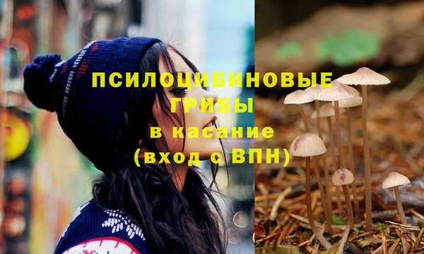 СК Магадан