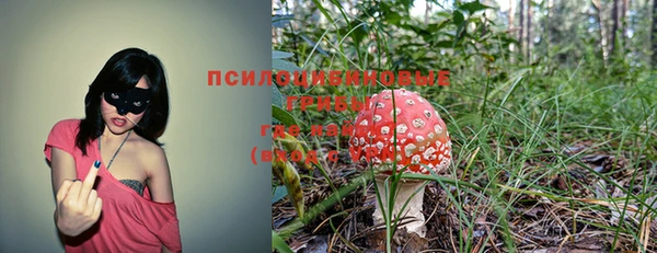 а пвп мука Магас