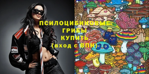 а пвп мука Магас